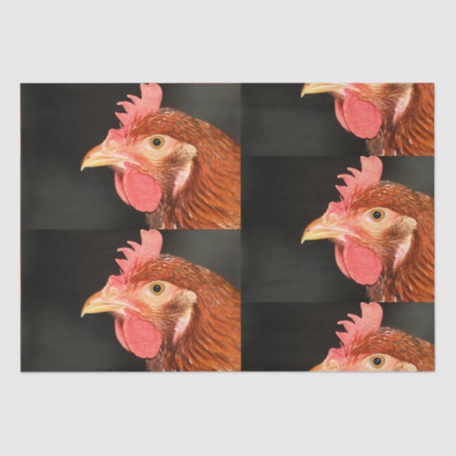 Serious hen  tissue paper (Front)