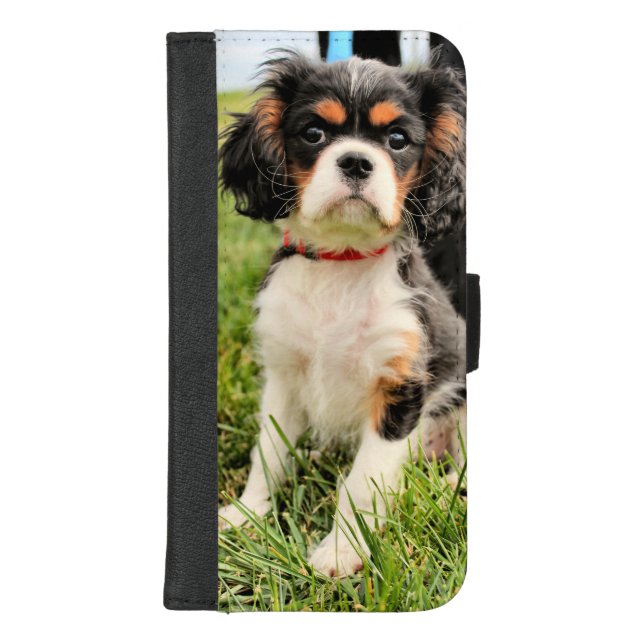 Serious iPhone Wallet Case (Front)