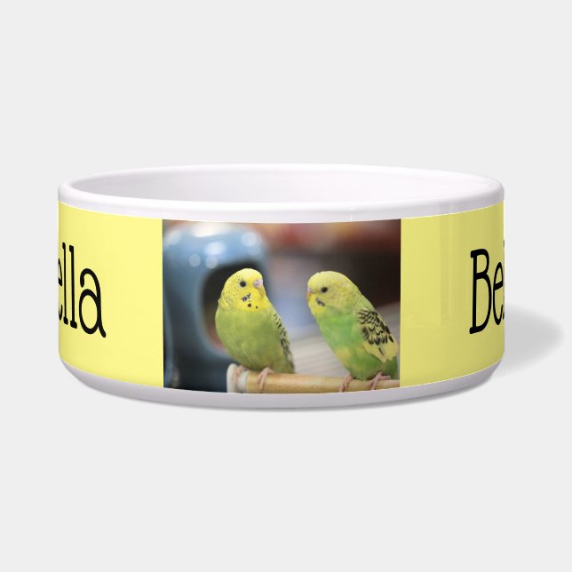 Serious Keets  Bowl (Front)