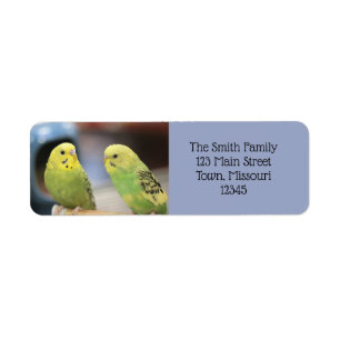 Serious keets label
