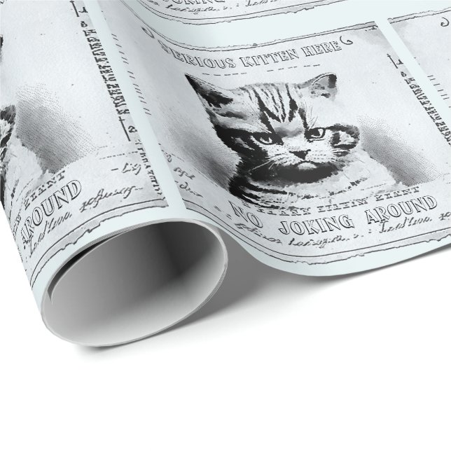 Serious kitten, old newspaper personalized wrapping paper (Roll Corner)
