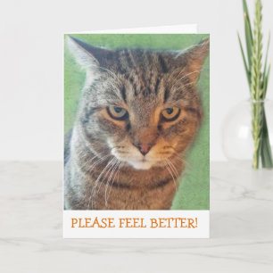 Serious Kitty Get Well Card