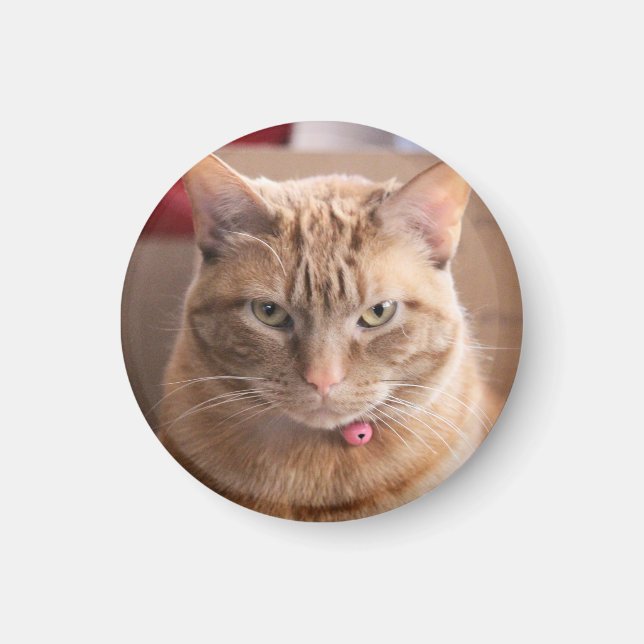 Serious Magnet (Front)