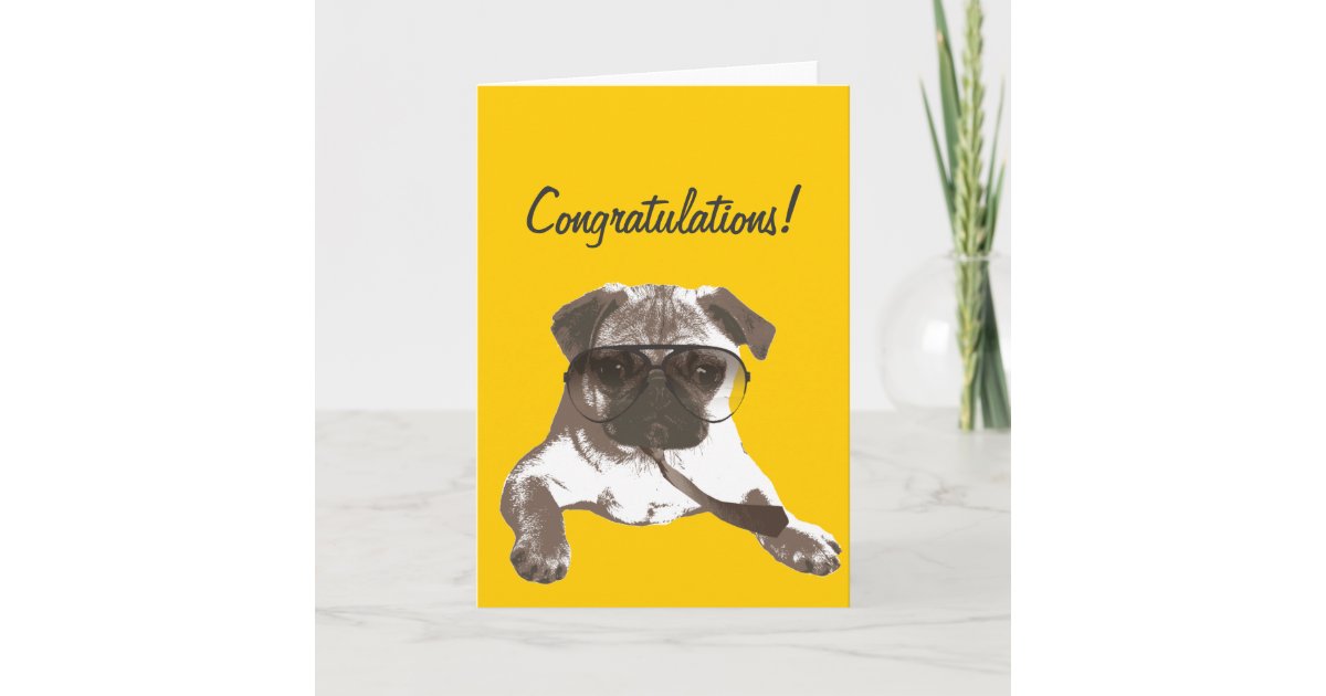 Serious Pug Congratulations Greeting Card | Zazzle