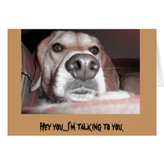 Serious pup cards