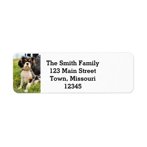 Serious Return Address Label