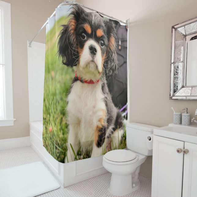 Serious Shower Curtain (In Situ)