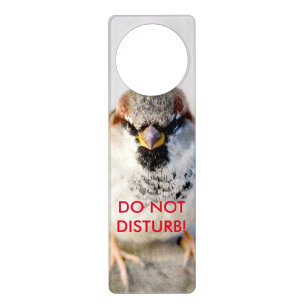 Serious Sparrow Door Hanger