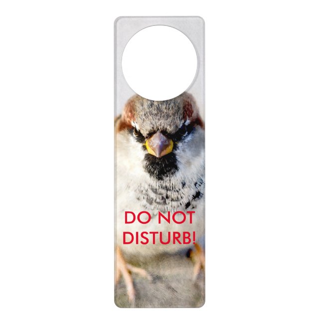 Serious Sparrow Door Hanger (Front)