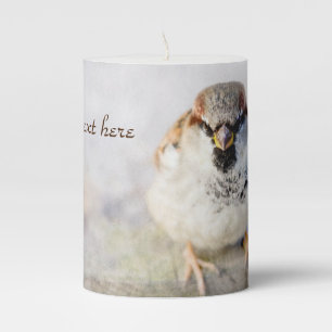 Serious Sparrow Pillar Candle