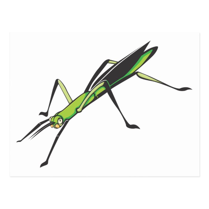 Serious Stick Insect Postcard