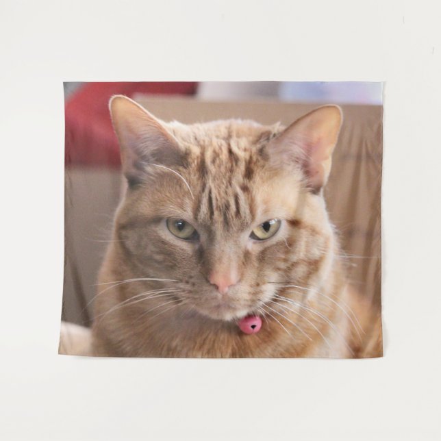 Serious Tapestry (Front (Horizontal))