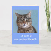 Serious Thinking Cat Birthday