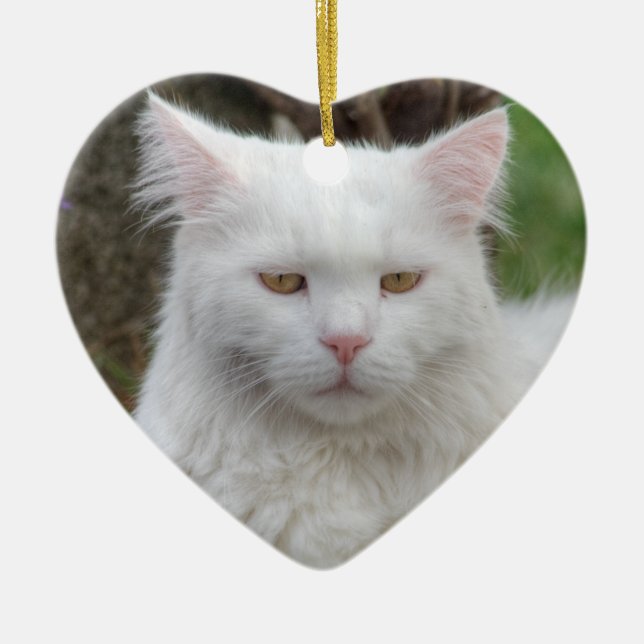 Serious White Cat Ceramic Ornament (Front)