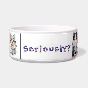 Seriously? Low energy Hight Judgment cat Bowl