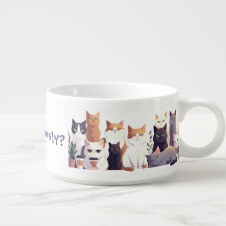 Seriously? Low energy Hight Judgment cat Bowl