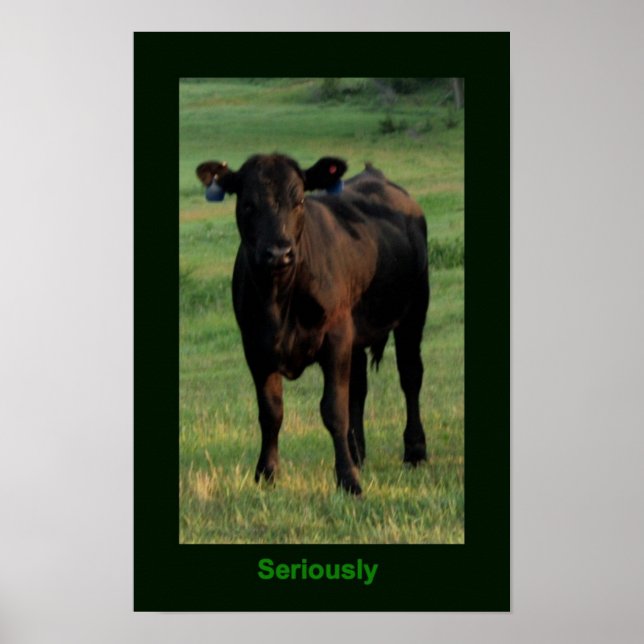 Seriously Poster (Front)