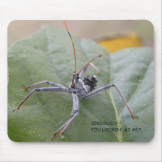 Seriously you looking at me? mouse pad