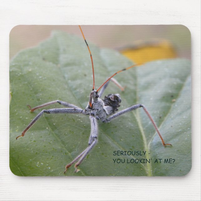 Seriously you looking at me? mouse pad (Front)