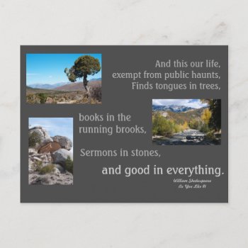"sermons In Stones" Postcard by bluerabbit at Zazzle