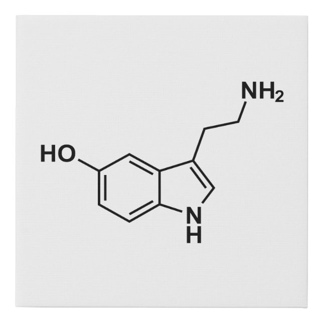 serotonin chemical formula science symbol elements faux canvas print (Front)