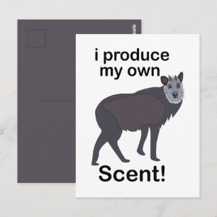 Serows Animal I Produce My Own Scent Funny Quote Postcard