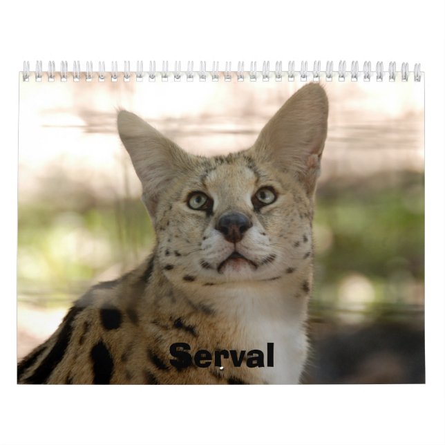 serval 017, Serval Calendar (Cover)