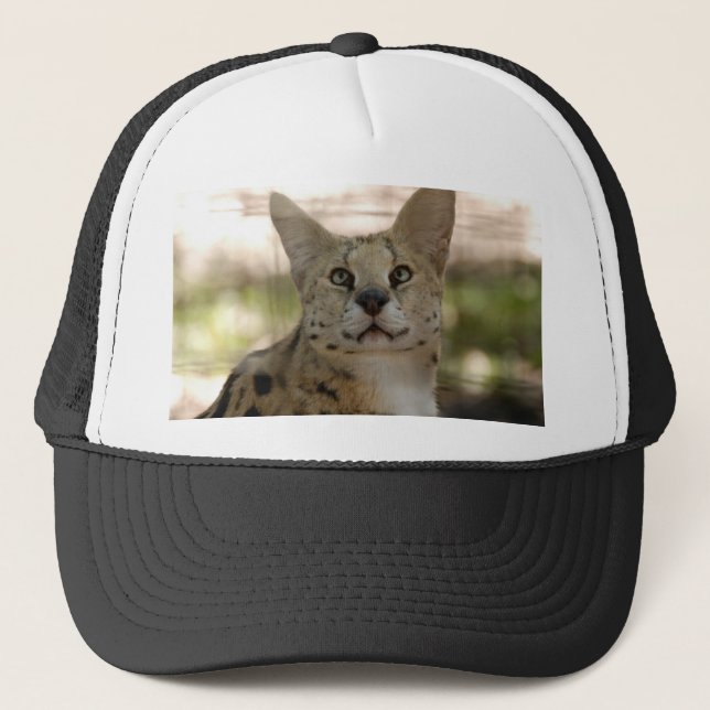 serval 017 trucker hat (Front)