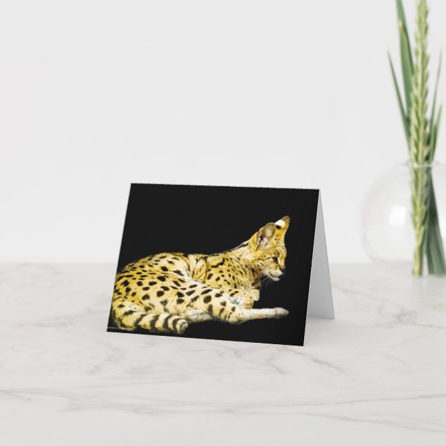 Serval Card (Front)