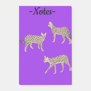 Serval Cats Post-it Notes