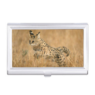 Serval (Leptailurus Serval) Jumping Business Card Case