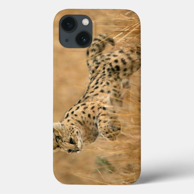 Serval (Leptailurus Serval) Jumping Case-Mate iPhone Case (Back)