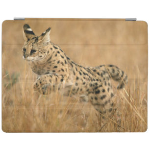 Serval (Leptailurus Serval) Jumping iPad Smart Cover
