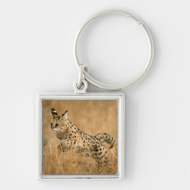 Serval (Leptailurus Serval) Jumping Keychain (Front)