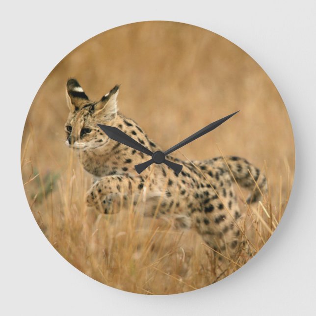 Serval (Leptailurus Serval) Jumping Large Clock (Front)