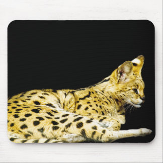 Serval Mousepad