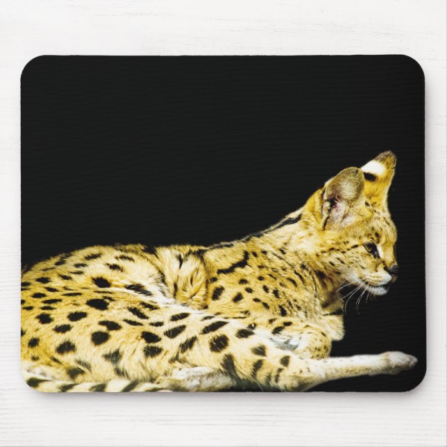 Serval Mousepad (Front)