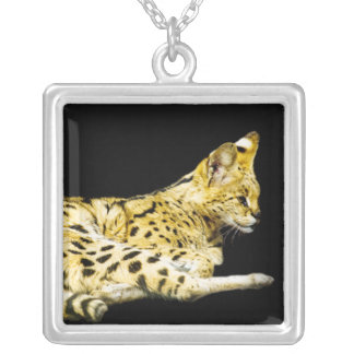 Serval Necklace