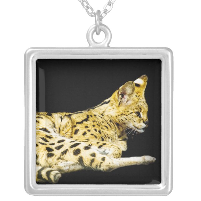 Serval Necklace (Front)