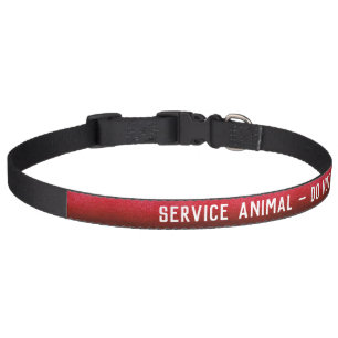 Service Animal Do Not Pet Modern Glitter Cute Dog Collar