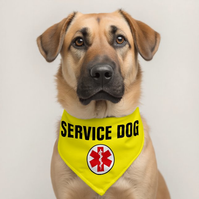 Service Dog Animal Medical Alert Symbol Yellow Pet Bandana Collar (Dog 2)