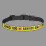Service Dog Animal Medical Alert Symbol Yellow Pet Collar