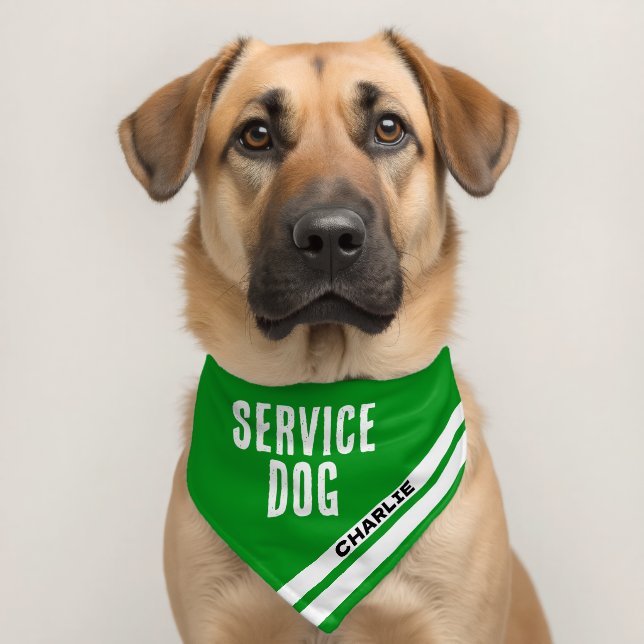 Service Dog Animal Name Medical Green Pet Bandana Collar (Dog 2)