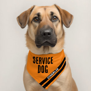 Service Dog Animal Name Safety Bright Orange Pet Bandana Collar