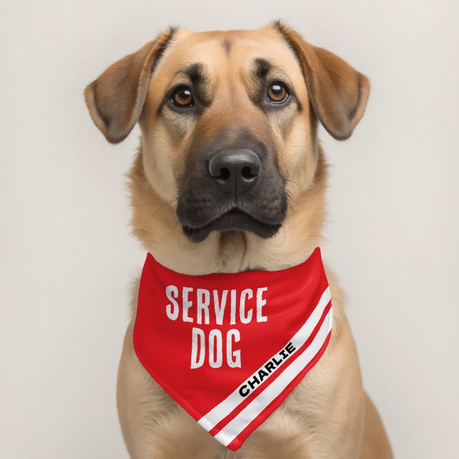 Service Dog Animal Name Safety Bright Red Pet Bandana Collar (Dog 2)