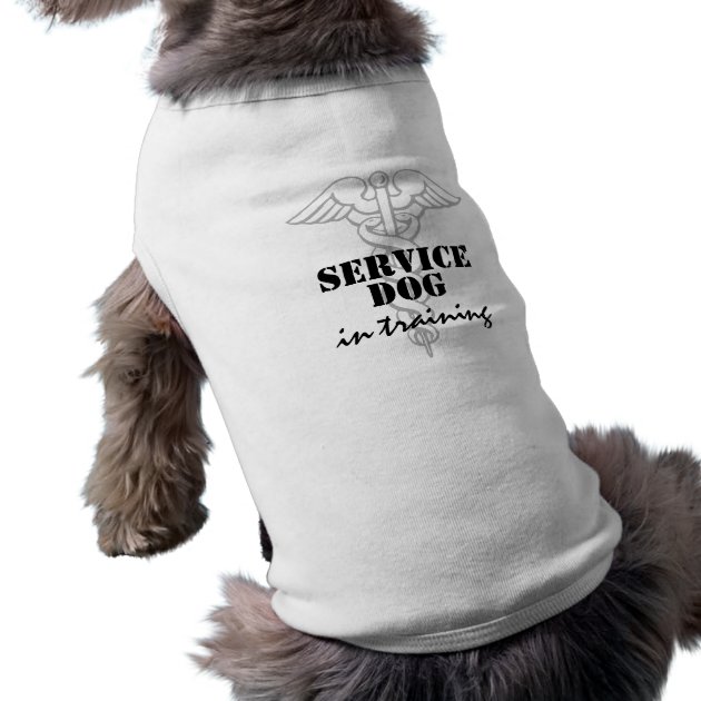 personalized dog apparel