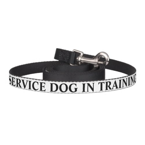 SERVICE DOG IN TRAINING GIVE US SPACE LEASH