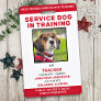 Service Dog In Training ID Card Personalized Photo Badge