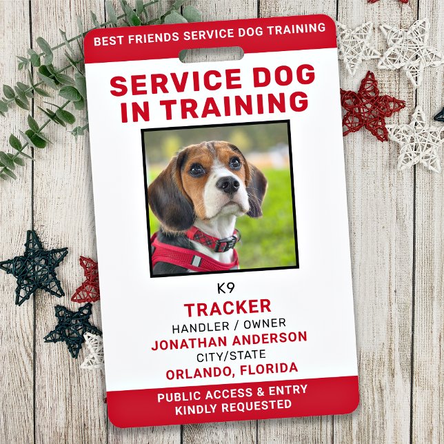 Service Dog In Training ID Card Personalized Photo Badge (Creator Uploaded)