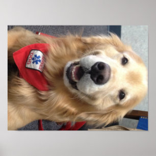 Service Dog Jonah Smiles at the Dentist Poster